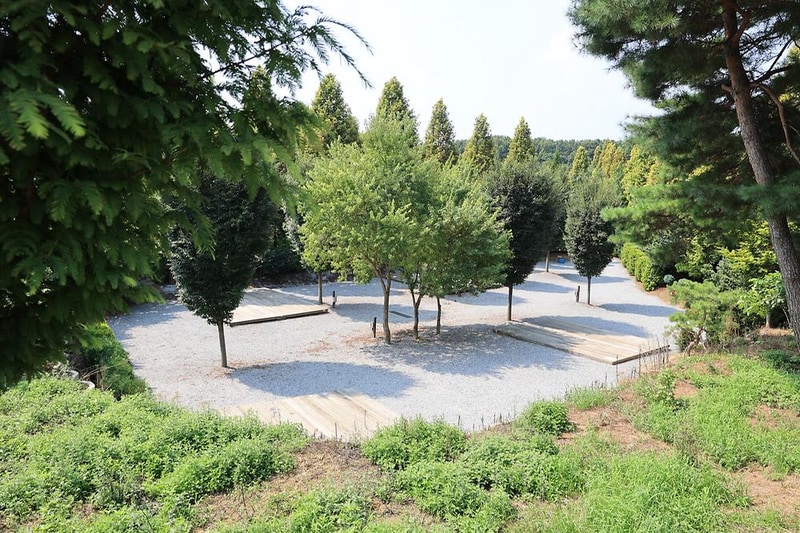 파이브이모션관광농원 시설 사진 8