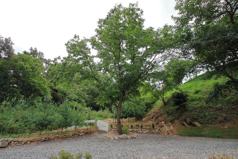 더캠프 렌탈캠핑 시설 사진 2