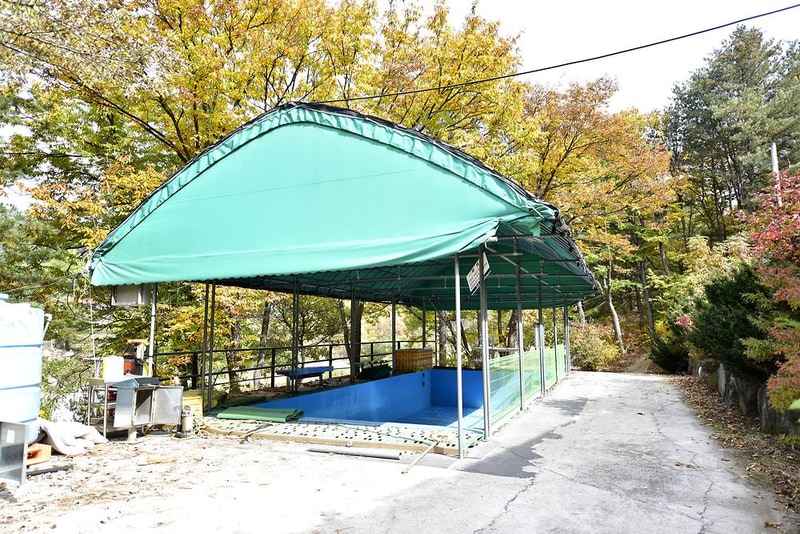 솔밭펜션캠핑장 시설 사진 5