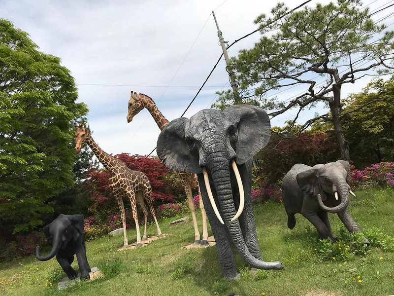 아프리카예술박물관 캠핑장 시설 사진 33