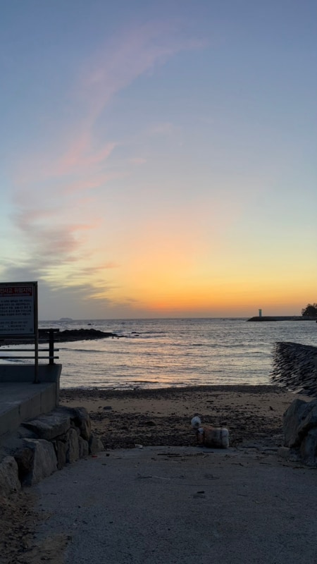 태안 파도리 어은돌송림캠핑장 캠핑하우스