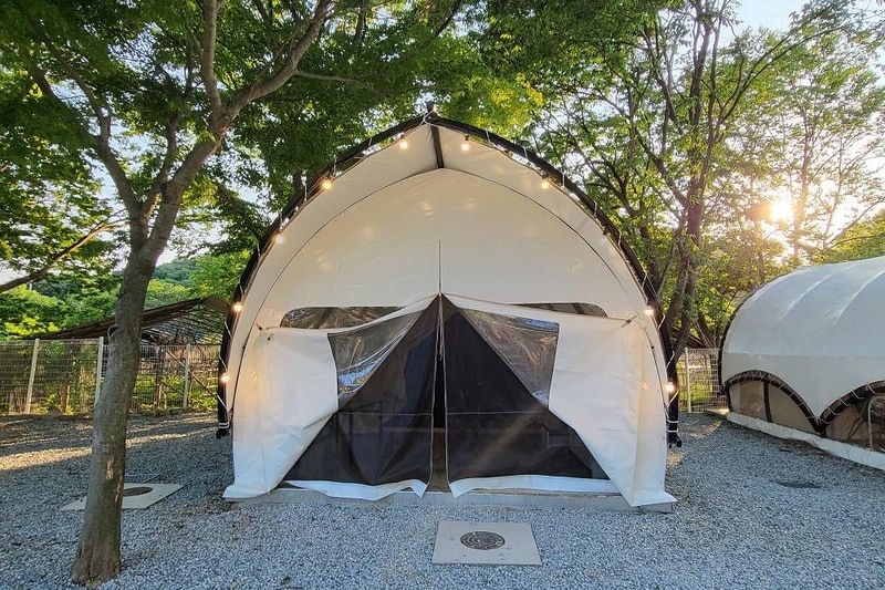Y글램핑 시설 사진 16