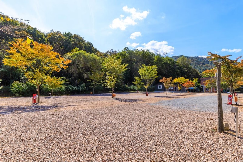 돌고래 오토 캠핑장 시설 사진 20