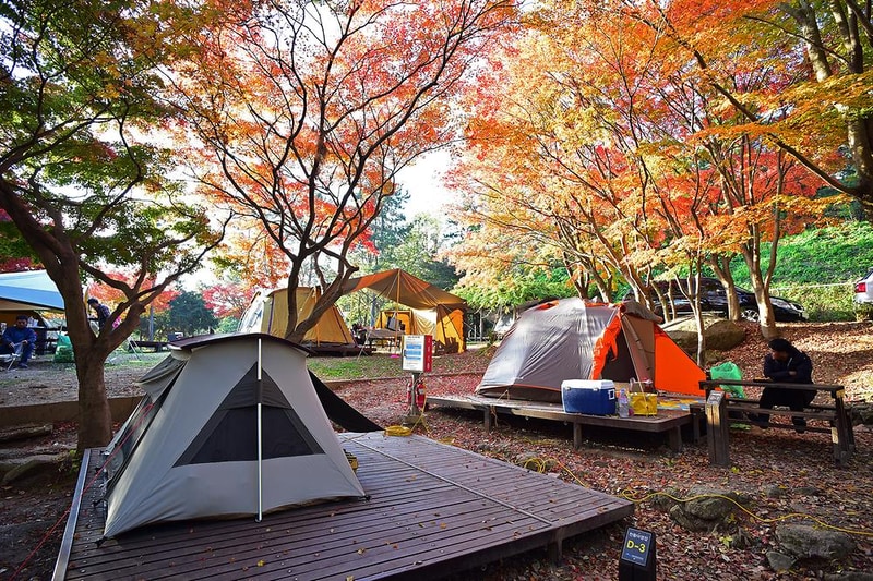 월출산국립공원 천황야영장 시설 사진 11