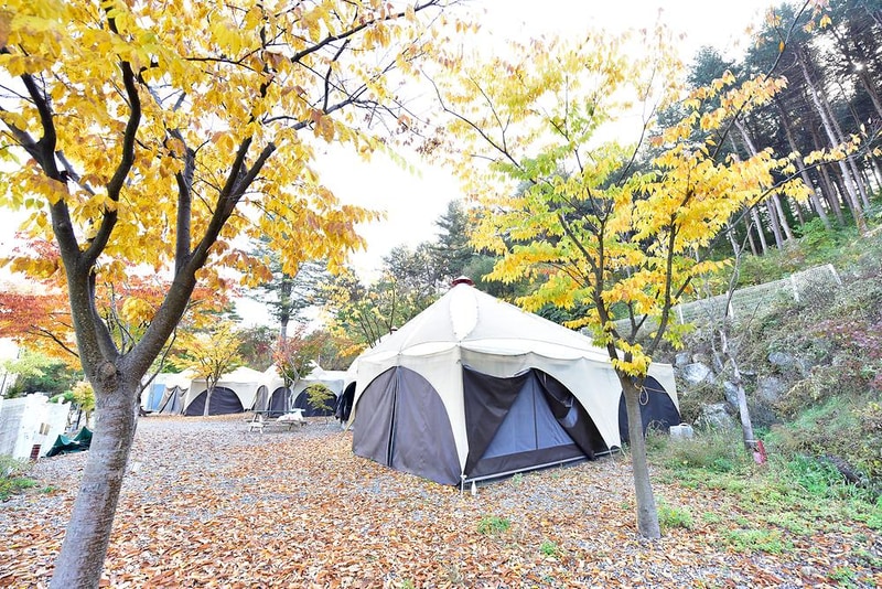 동물카라반 시설 사진 18