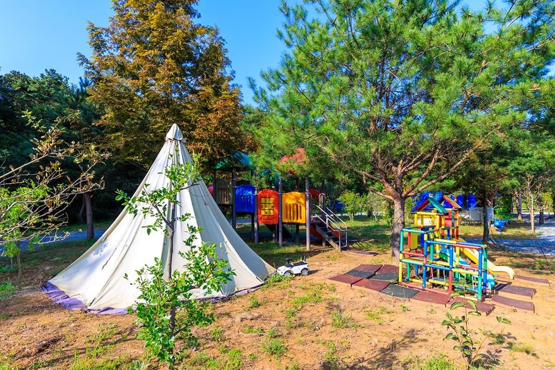 THE쉼오토캠핑장 시설 사진 8