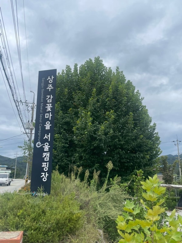 [경북 상주] 상주 감꽃마을 서울캠핑장 사이트