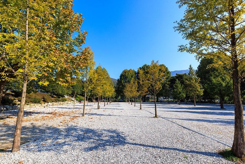 시골학교캠핑장 시설 사진 10