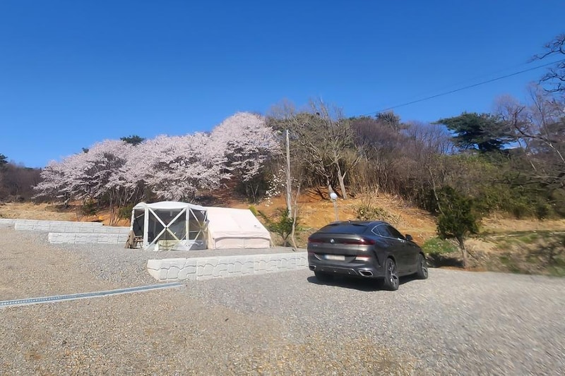 푸르미르 관광농원 시설 사진 6