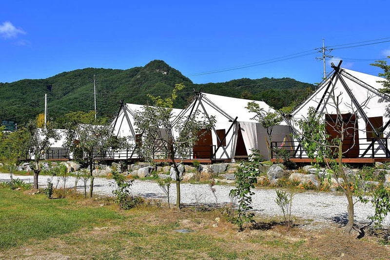 더세븐글램핑카라반(주) 시설 사진 5