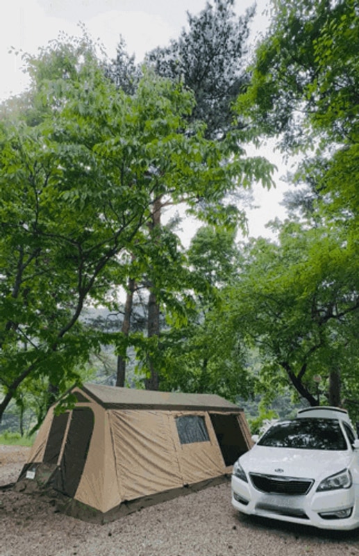 인제 돌배야영장 캠핑 : 나무그늘 + 내린천 계곡, 돌배1야영장