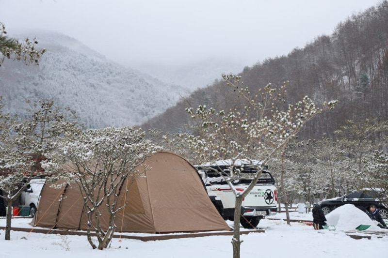 태백호텔 태백눈꽃야영장 첫눈과 함께한 설중 동계캠핑 후기