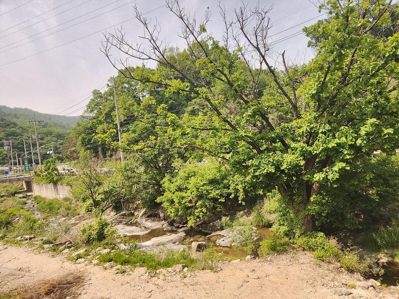 코알라캠핑장 시설 사진 13