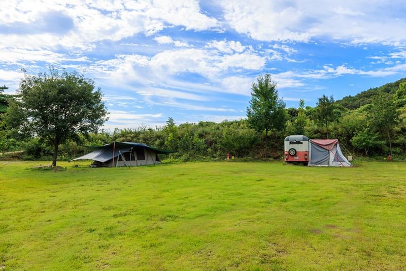 숲속의 관광농원 대표 사진