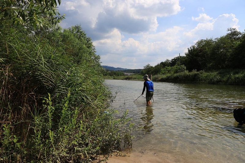 계곡과느티나무 캠핑장 시설 사진 19