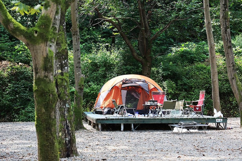 오색허브농원 캠핑장 시설 사진 6