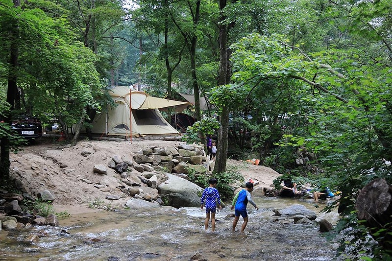 평창 태기산 캠핑장 펜션 시설 사진 6
