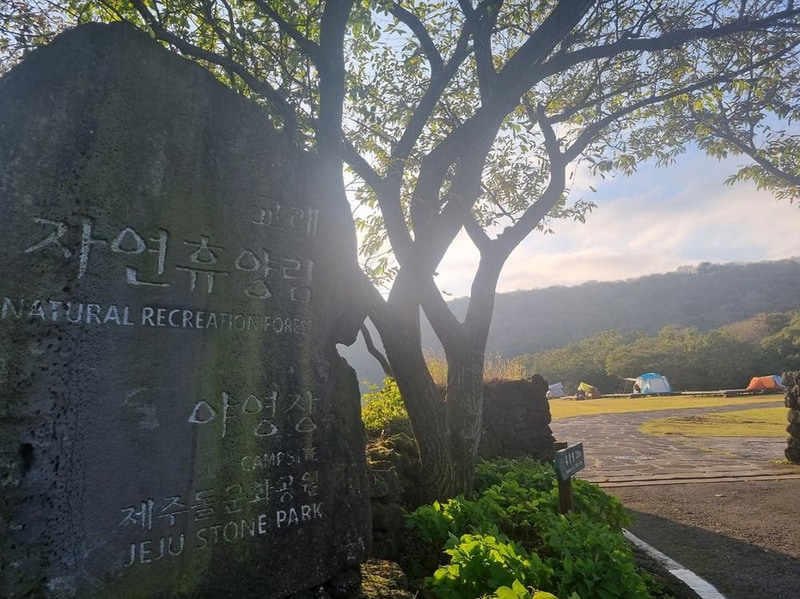 교래자연휴양림야영장 시설 사진 11