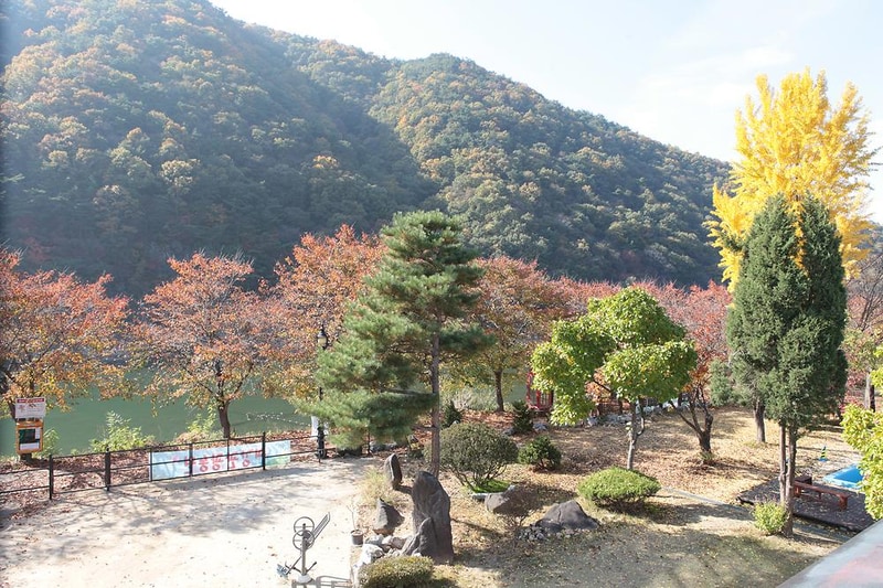 괴강관광농원 시설 사진 35