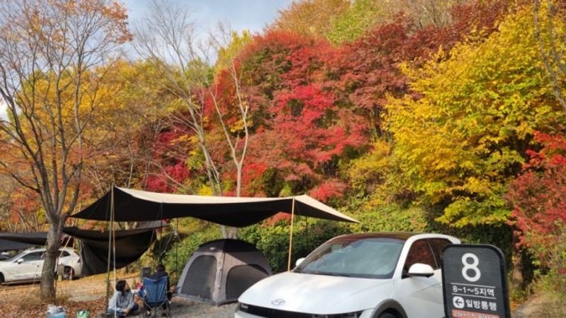 중랑가족캠핑장 공원도 있고, 나무들도 많아서 차가 캠핑하는...