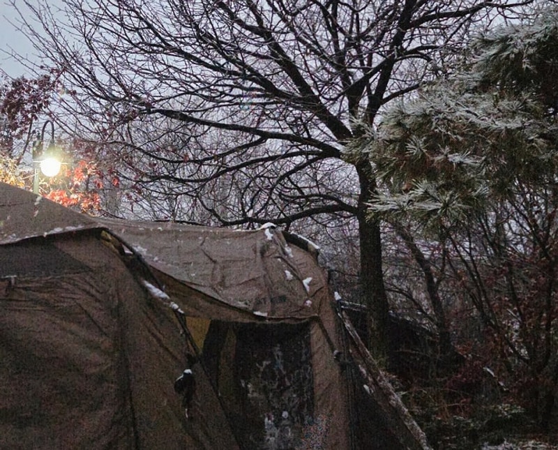 파주 프로방스 캠핑장 : 코베아 네스트T로 2박 3일 보낸 후기