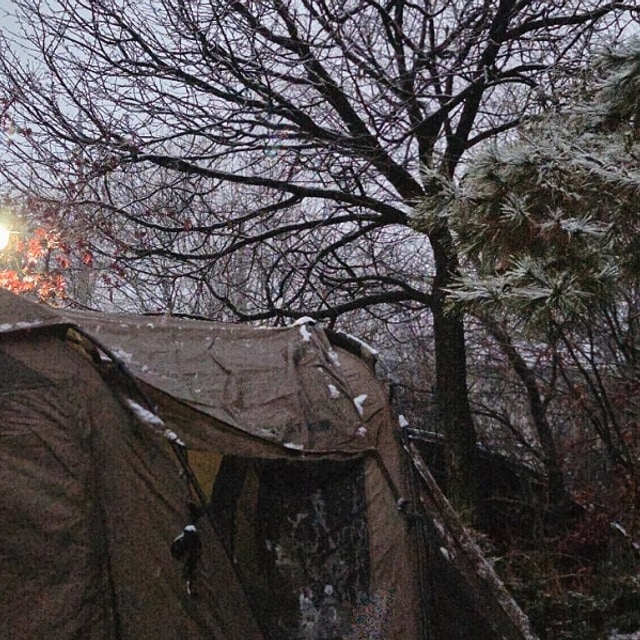 프로방스 캠핑장 대표 사진