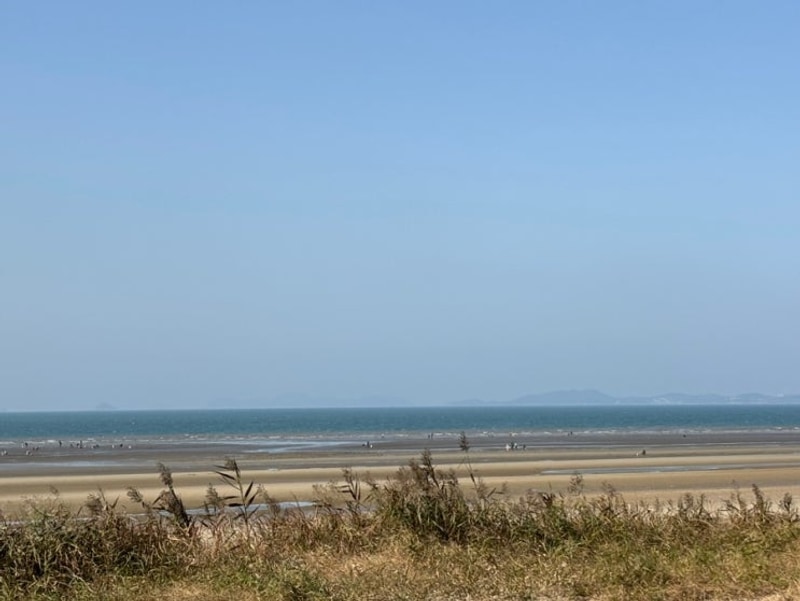 [캠핑] 태안노을숲캠핑장갔다옴!!!!