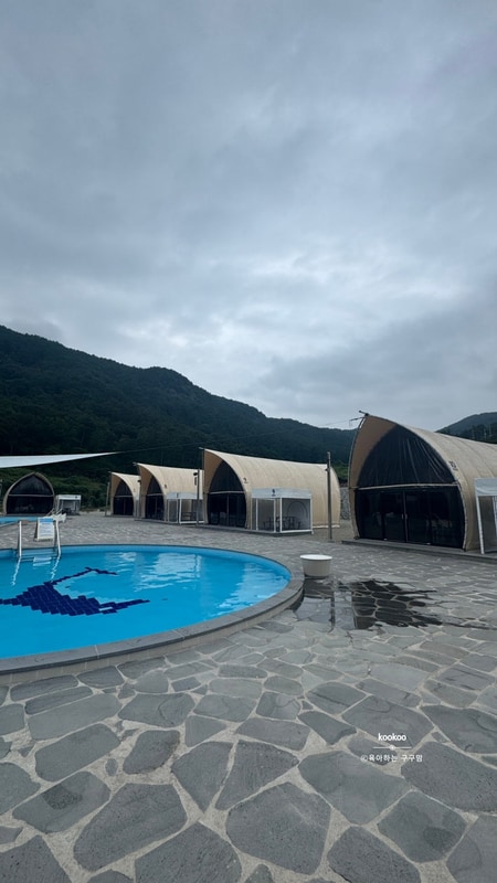 사천 비비드 글램핑 31갤 아기랑