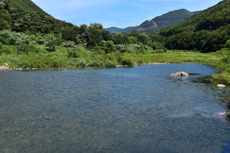 포시즌 시설 사진 4