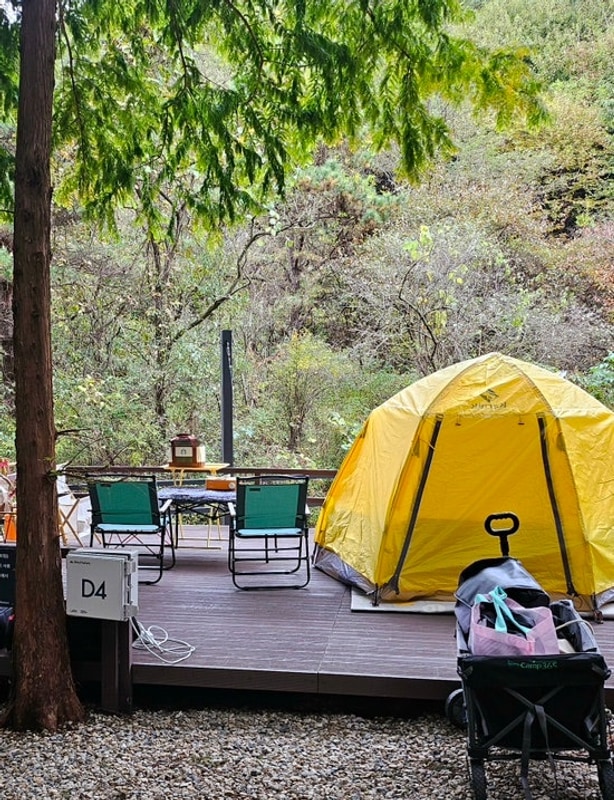 [캠핑일기] ⊹⁺⸜ 양평 스테이네이처 캠핑장/D4사이트⸝⁺⊹