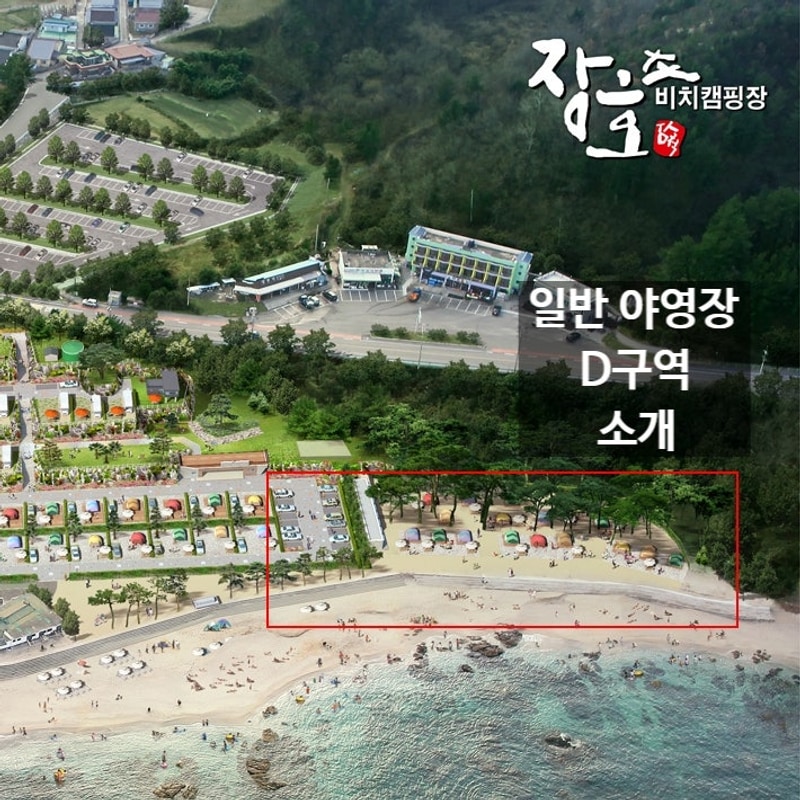삼척 장호비치캠핑장 일반 야영장 D구역 소개 및 명당자리 추천