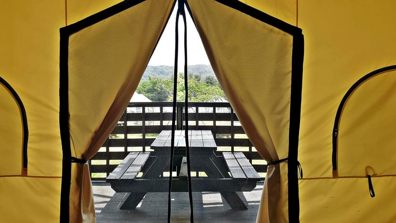 골드펫리조트 시설 사진 19