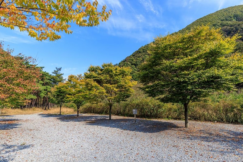 월악산억수솔밭캠핑장 시설 사진 12