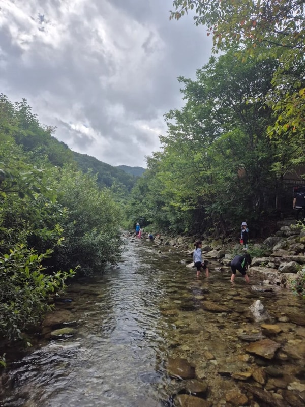 떠나는 물놀이랑 계곡 캠핑 (in 강원도 원주 산노리 캠핑장 )