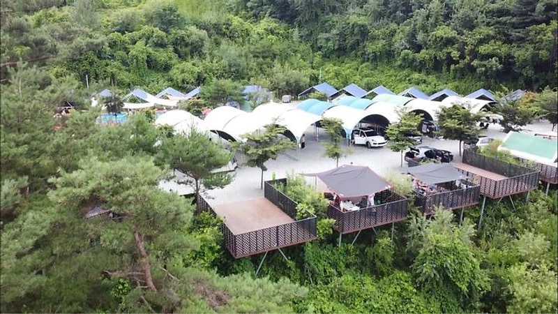 원주키즈캠핑장 대표 사진