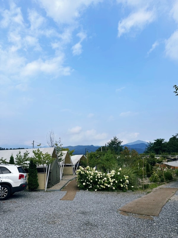 [가평 캠핑장] 애견 동반 오토캠핑 개별 울타리 나아정캠핑장...