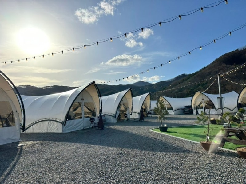 천안 글램핑장 추천 디디 글램핑 / 추가금, 바베큐, 준비물