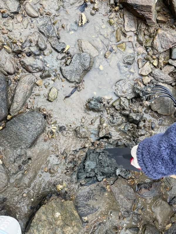 [태안 캠핑 추천] 어은돌 송림캠핑장 캠핑 후기! (내돈내산)