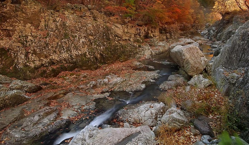 에코팡팡캠핑장 시설 사진 5