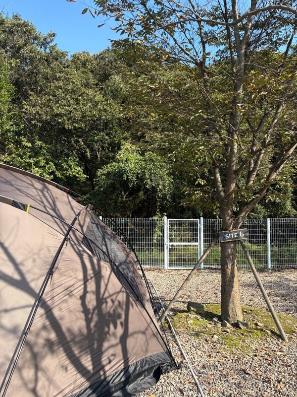 [고령 캠핑] 우니메이카 고령점 방문 / 솔직 후기