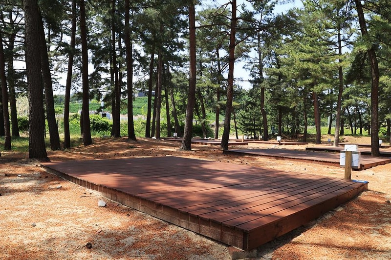 북분솔밭캠핑장 시설 사진 23