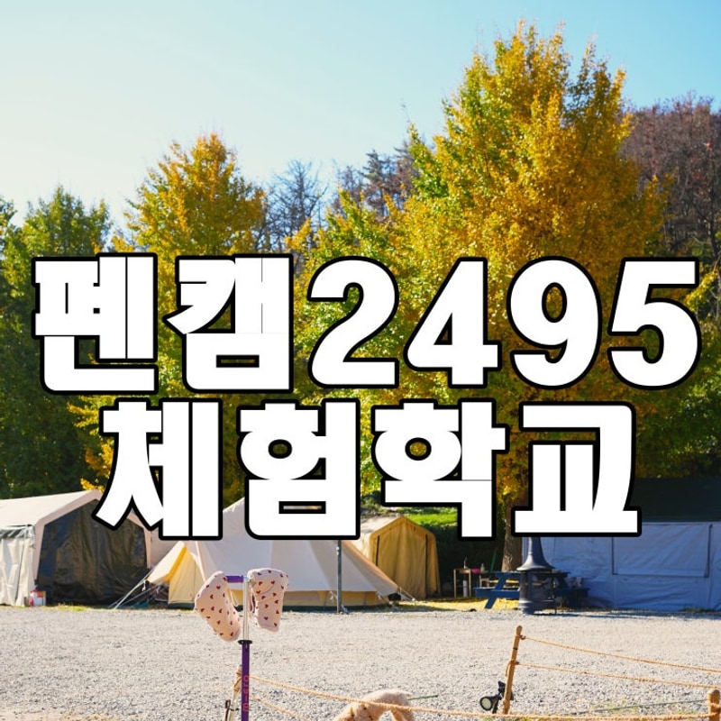 포항 캠핑장 애견동반 펜캠2495 체험학교 호미곶과 미즈캠