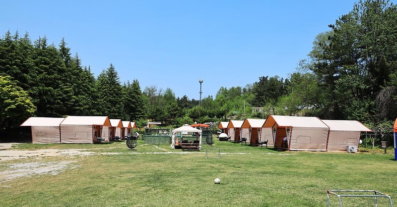 동해 주노글램핑장 시설 사진 9