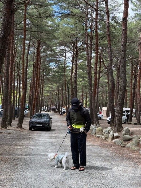 강원도 양양군에 있는 양양 캠프장 후기 및 주변 관광지 추천...