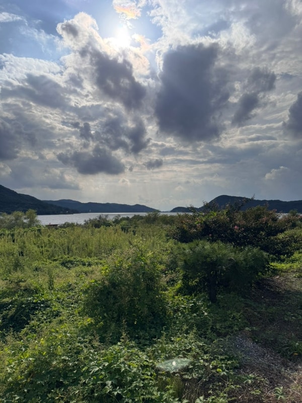 용인 꽃주렁나무주렁캠핑장 1박2일 우중캠핑