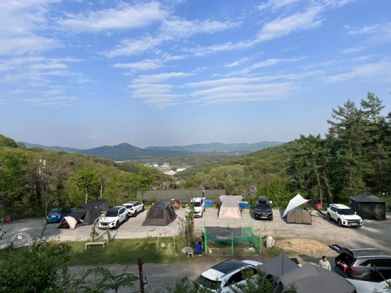 반려견동반캠핑장┃안성 참살이오토캠핑장 후기