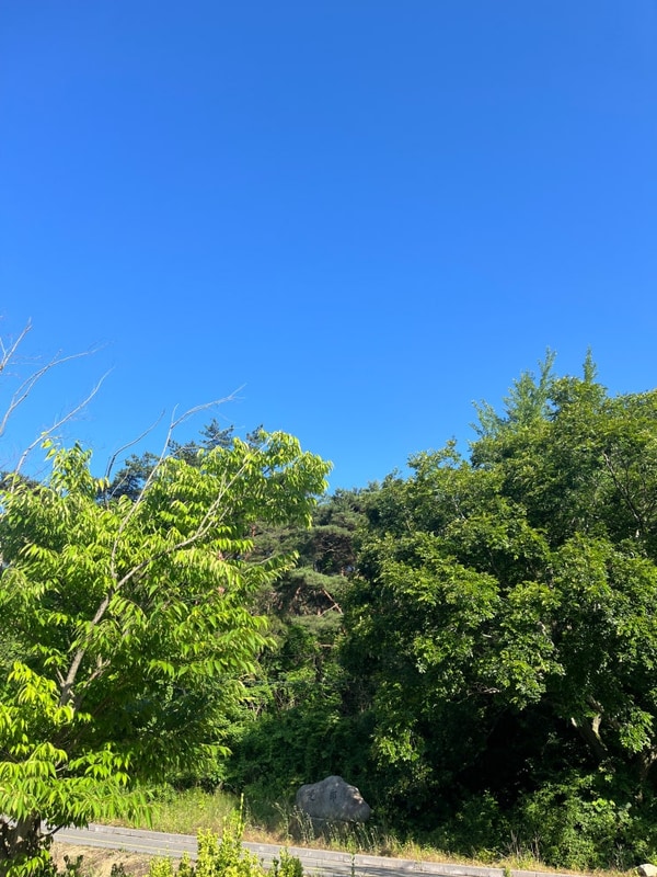 [고창 선운산 국민여가캠핑장] 아기랑 함께 떠나는 캠핑장...