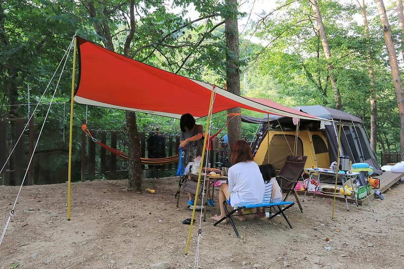 소나무숲아래 시설 사진 11