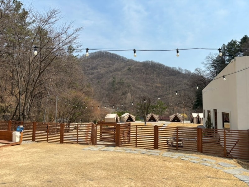 반려견동반 글램핑 * 여주산오마켓