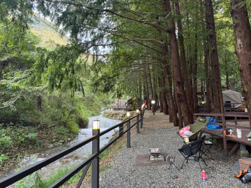 인생 캠핑장 ! - 양평 스테이네이처 D7 사이트 9월 캠핑 후기